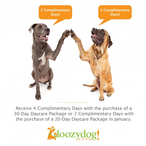 Receive 4 Complimentary Days with the purchase of a 30-Day Daycare Package or 2 Complimentary Days with the purchase of a 20-Day Daycare Package in June